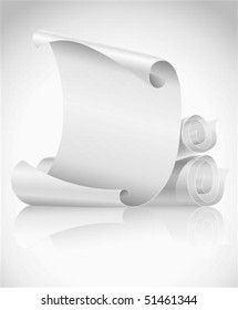 blank scrolls of white paper vector illustration
