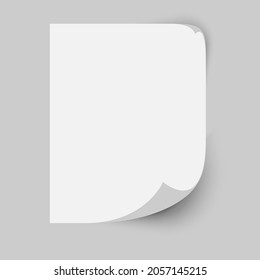 Blank sheet of paper curl page with shadow. Vector illustration.