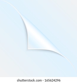 blank sheet of paper with the curved corner.clean sheet for posting information.vector