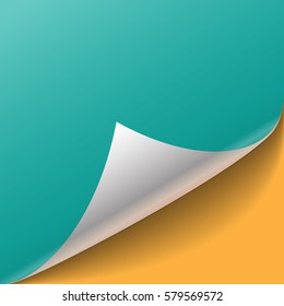 Blank sheet of paper with page curl and shadow, isolated on color background