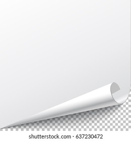 Blank sheet of paper with page curl over white
