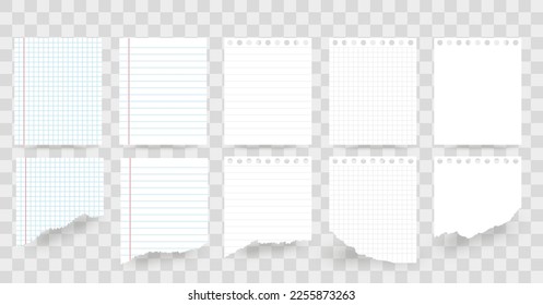  Blank sheets of square and lined paper.paper blank sheets . Set of Torn paper.Ripped paper.Vector