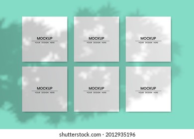 Blank square paper cards template with shadow overlay effect