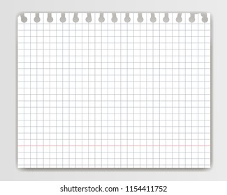Blank squared copy book sheet with torn edge. Mockup or template of chequered  notepad page for yor text.