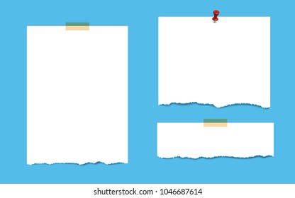 blank squared notepad pages with sticky tape and pin. Note paper stuck with sticky tape and pin.