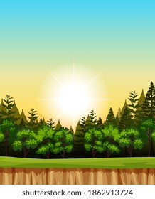 Blank sunrise sky background scene with pines in the forest illustration