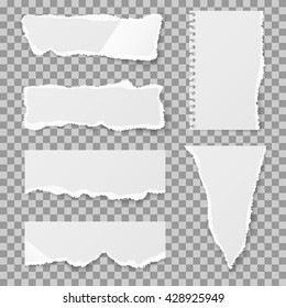 Blank torn paper with bends and tears. Ripped sheet paper and reminder lacerated paper blank. Vector illustration set