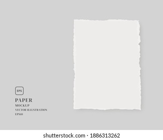 Papel roto en blanco. La burla de papel aislada en fondo gris. Vector de mordaza aislado. Diseño de plantilla. Ilustración vectorial realista.