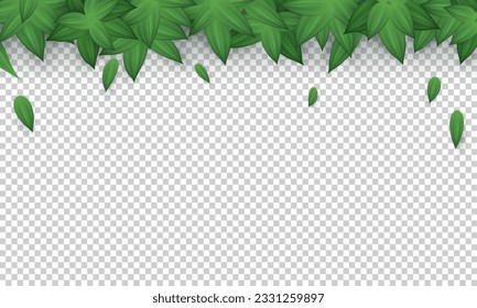 Banner transparente en blanco con hojas verdes realistas cayendo desde arriba. Papel de escritorio con marco con follaje y espacio de copia. Afiche orgánico, fondo de hierbas con marco natural