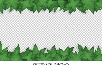 Blank transparent banner with realistic green leaves above and below. Poster, background with natural frame. Wallpaper with herbs, foliage and copy space. 