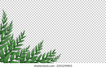 Blank transparent banner with realistic twigs with green leaves in the corner. Poster, background with olive tree branches. Wallpaper with herbs, foliage and copy space. 