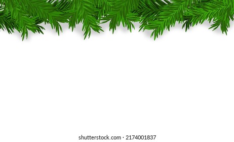 blank white background with green pine branches for festive holiday backdrop and website banner or graphic design decoration