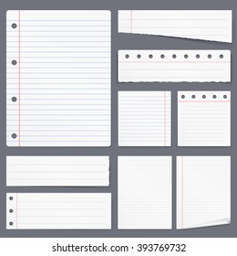 Blank white lined paper, notebook paper, torn paper, vector eps10 illustration
