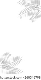 Blank white vertical background with palm leaf shadow. Suitable for wallpaper, product, presentation, etc.