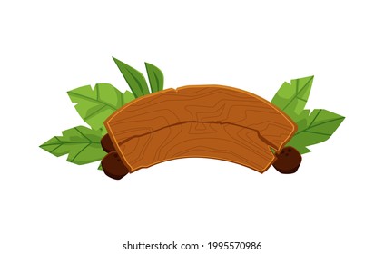 Blank wooden sign board with tropical leaves and coconuts. Arch shape wood plank for exotic cafe signboard or direction banner, isolated vector illustration