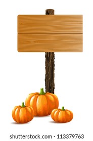 Blank wooden sign boards with bunch of pumpkins