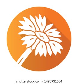 Blanket flower orange flat design long shadow glyph icon. Gaillardia aristata garden plant. Arizona apricot. Blooming wildflower. Summer and spring blossom. Vector silhouette illustration