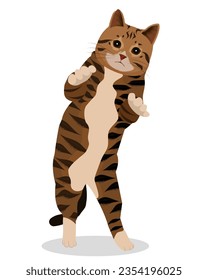 Blank-Faced Cat's Sneaky Startle Attempt