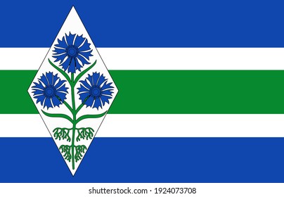 Blaricum municipality ( North Holland province, Netherlands ) flag vector icon
