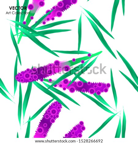 Blazing star flower Seamless Pattern, Vector illustration design element