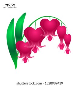 Bleeding Heart Flower Isolate, Vector Illustration Design Element