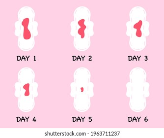 Bleeding Menstrual Period on Pad. Heavy and Light Menstrual Period. Female Sanitary Napkins with Blood. Frequency and Periodicity of Menstrual Cycle icons. Vector illustration.