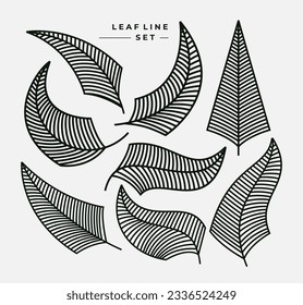 Blend line natural banana leaf design template. Line organic leaf design set.