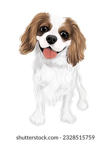 Blenheim cavalier drawing vector art