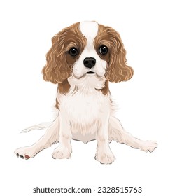 Blenheim cavalier drawing vector art