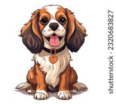 Blenheim Cavalier King Charles spaniel dog on white background