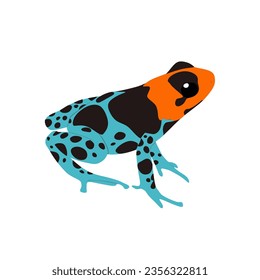 Ranas venenosas benditas, Ranitomeya benedicta diseño vectorial de alta calidad fondo transparente