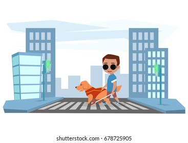 Blind boy crosses the road with a guide dog
