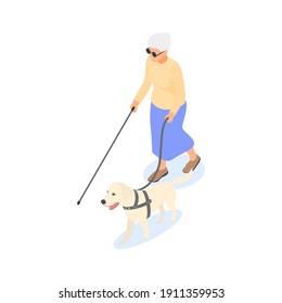 Blind elderly woman with cane and guide dog isolated on white background. Flat vector isometric illustration.