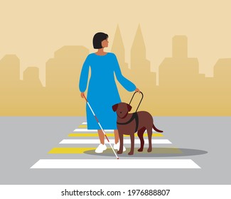 Blind with a guide dog. Flat vector stock illustration. Guide dog day, April. Help for the disabled, inclusive street. A disabled woman crosses the road with her pet. Lobrador helps. Vector graphics