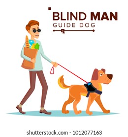 Blind Man Vector. Person With Pet Dog Companion. Blind Person In Dark Glasses And Guide Dog Walking. Isolated Cartoon Character Illustration