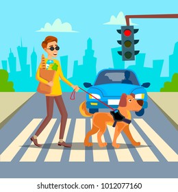 Blind Man Vector. Young Person With Pet Dog Helping Companion. Disability Socialization Concept. Blind Person And Guide Dog On Crosswalk. Cartoon Character Illustration
