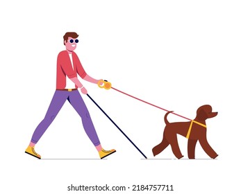 Blind Man Walking And Leading By Guide Dog. Cheerful Guy With Cane And Leader Poodle Seeing Eye Dog Isolated On White Background.