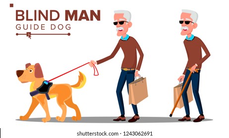 Blind Old Man With Dark Glasses, Cane In Hand And Guide Dog Vector. Isolated Cartoon Illustration
