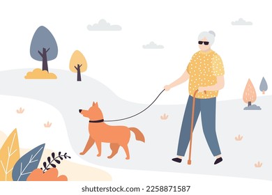 Blind old woman walks with guide dog. Animal helps elderly with vision problems. Seeing Eye Dog provides someone blind or has low vision with confidence to get around safely and be truly independent.