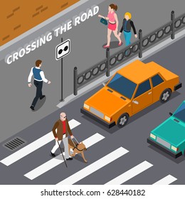 Blind Person With Cane And Seeing Eye Dog On Crosswalk Cars Waiting On Road Isometric Vector Illustration 