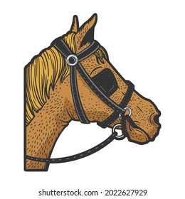 Blinkers horse tack on horse eyes color sketch engraving vector illustration. T-shirt apparel print design. Scratch board imitation. Black and white hand drawn image.