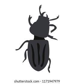 
Blister beetle usually sit  on plants icons 
