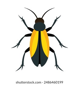 Blister beetles insect flat vector illustration on white background.