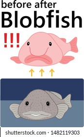 Blobfish Before After Set Vector Illustration cartoon