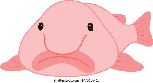 91 Blobfish Images, Stock Photos & Vectors | Shutterstock