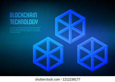 Block chain. Crypto currency. Blockchain concept. 3D isometric digital block with digital code. Editable cryptocurrency template. Stock vector illustration.
