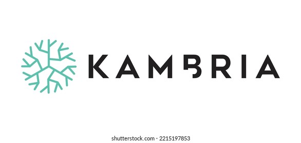 Blockchain based secure Cryptocurrency coin Kambria (KAT) icon isolated on colored background. Digital virtual money tokens. Decentralized finance technology illustration. Altcoin Vector logos.