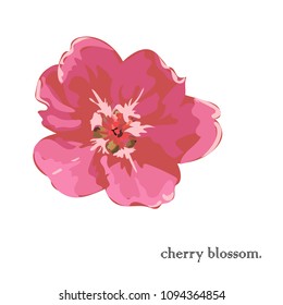 
blond flower on a white background.