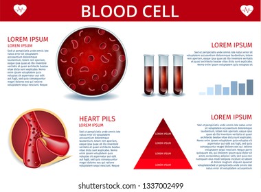Blood Test Tube Chart