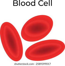 Blood Cell Science Design Vector Illustration Diagram